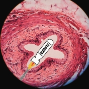 Webalbum Cover 3